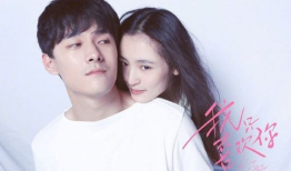 娱乐圈吃瓜科学是什么意思,揭秘娱乐圈八卦背后的真相与规律